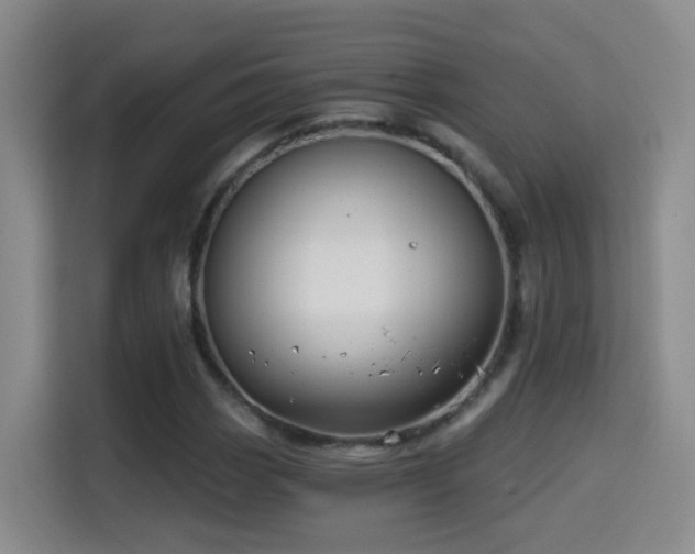 X0000114611113200910201147