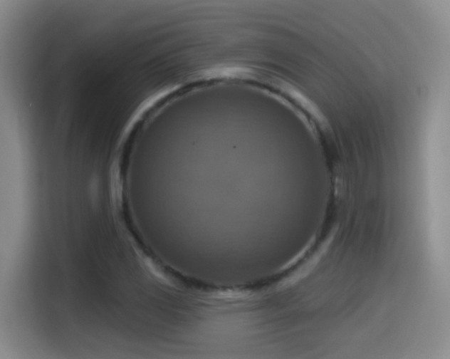 X0000114611117200910201147