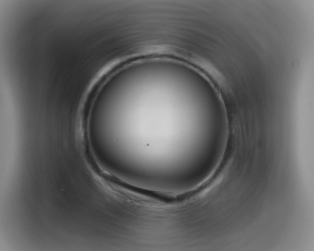 X0000114611118200910201147