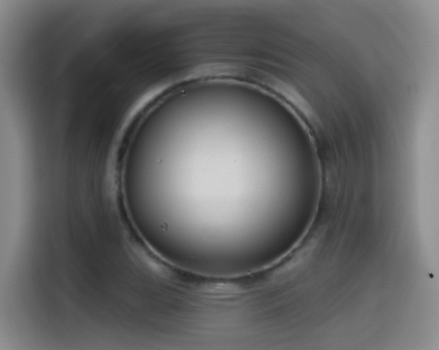 X0000114611119200910201147