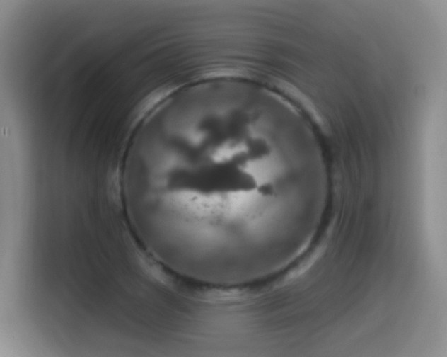 X0000114611121200910201147