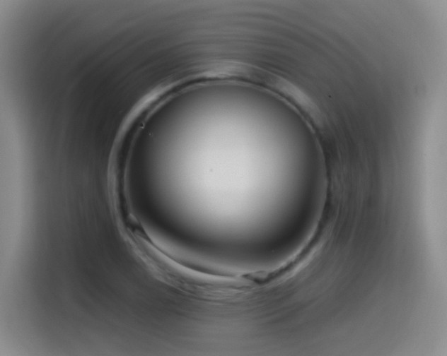 X0000114611122200910201147