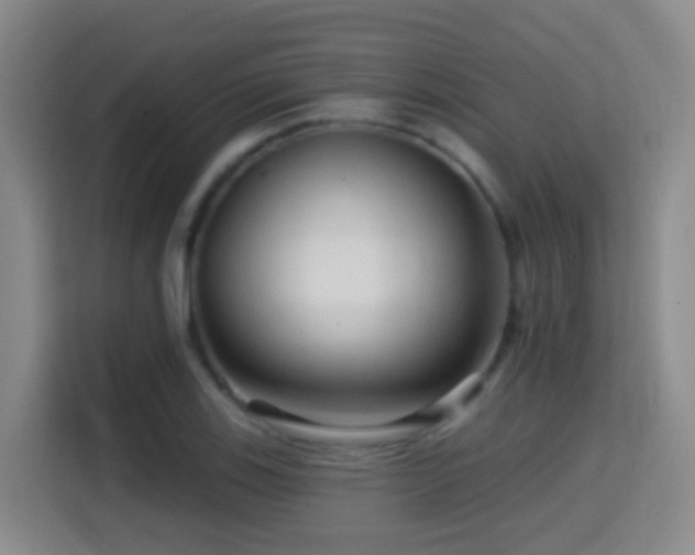 X0000114611123200910201147