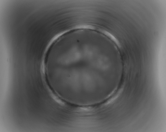 X0000114611125200910201147