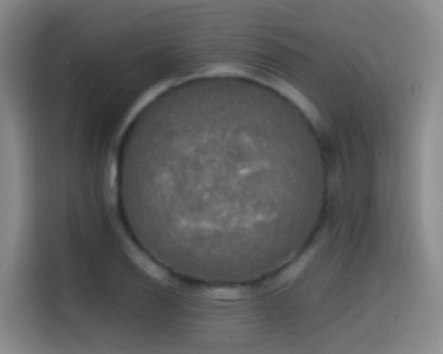 X0000114611126200910201147