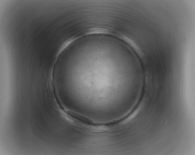 X0000114611129200910201147