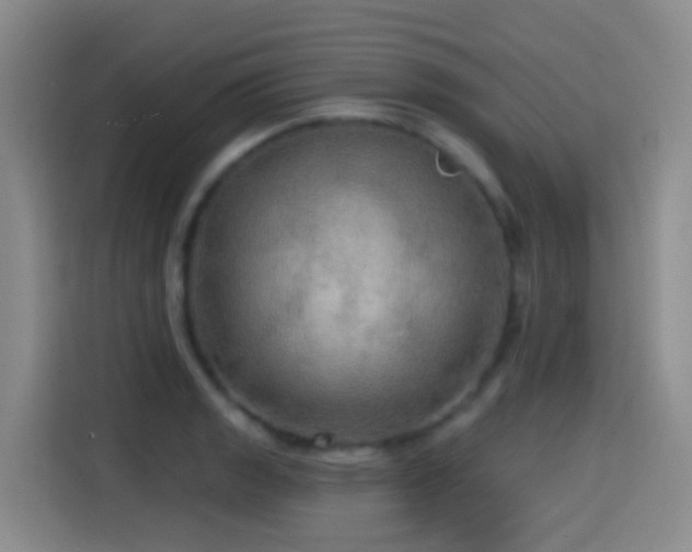 X0000114611133200910201147