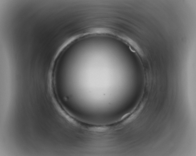 X0000114611134200910201147