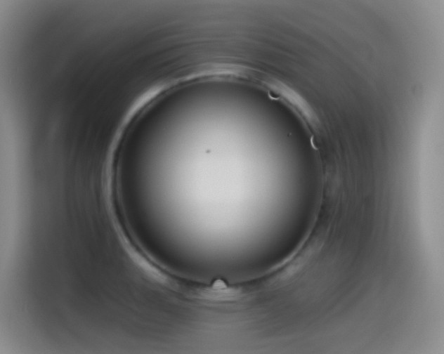 X0000114611135200910201147