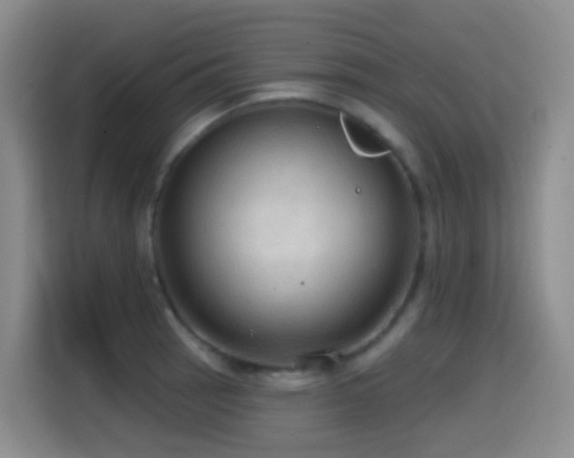 X0000114611137200910201147