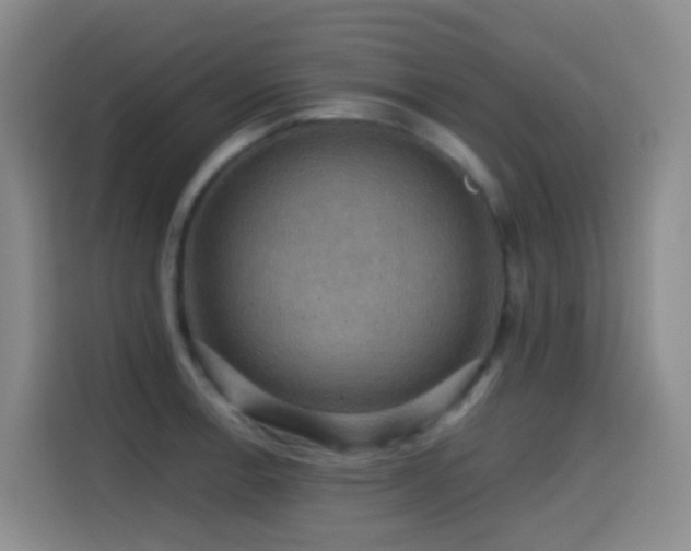 X0000114611138200910201147