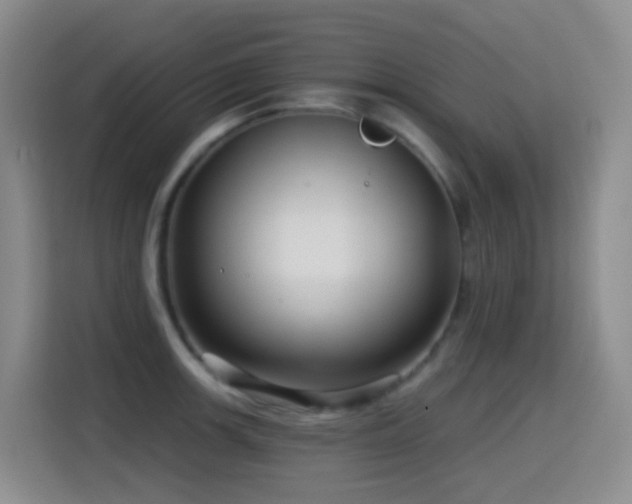 X0000114611139200910201147