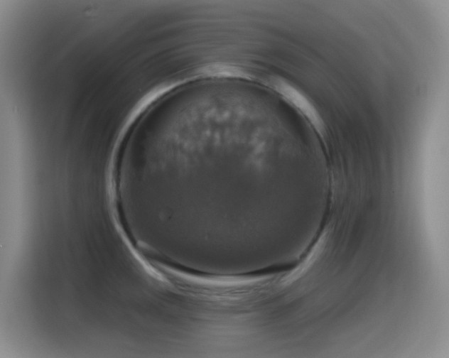 X0000114611141200910201147