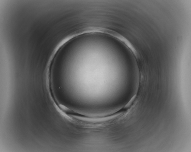 X0000114611143200910201147