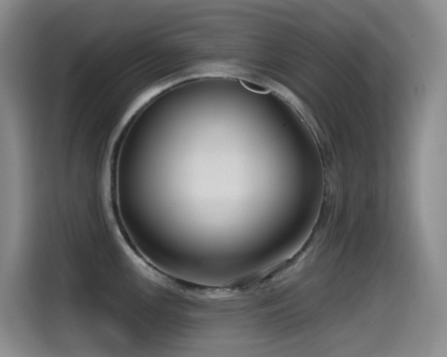 X0000114611147200910201147