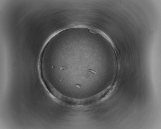 X0000114611149200910201147