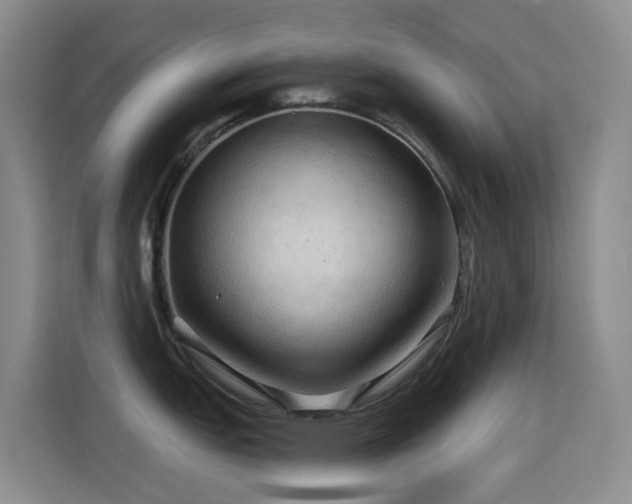 X0000114611151200910201147