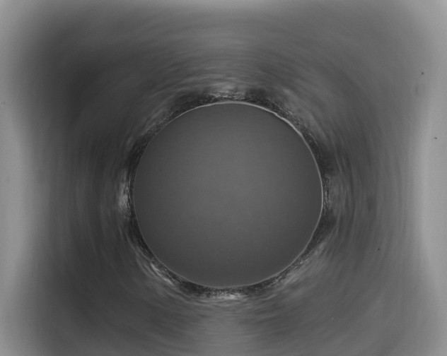 X0000114611154200910201147