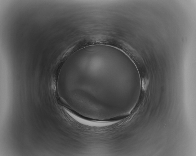 X0000114611155200910201147