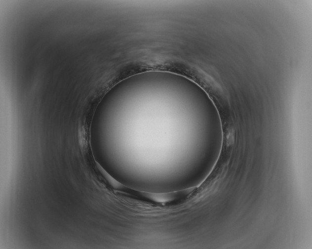 X0000114611156200910201147