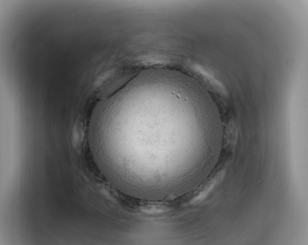 X0000114611157200910201147