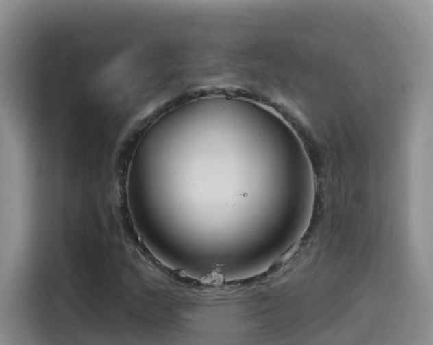 X0000114611159200910201147