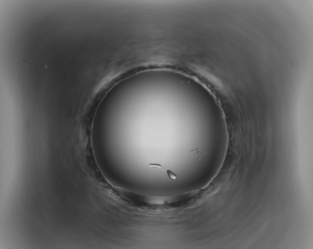 X0000114611160200910201147