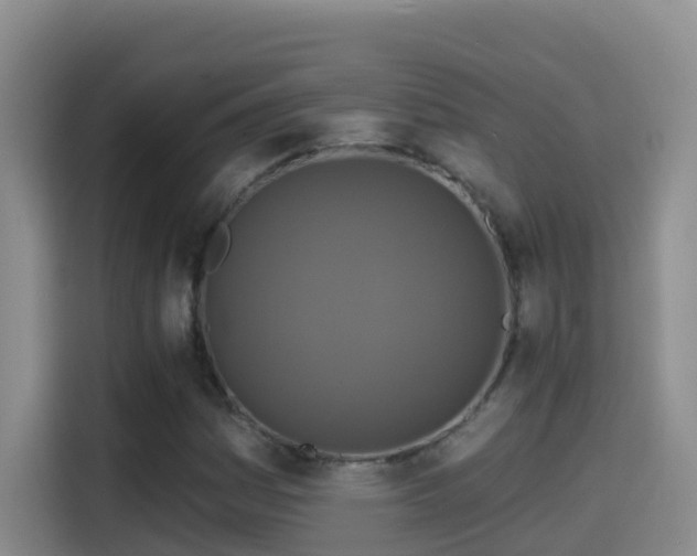 X0000114611161200910201147