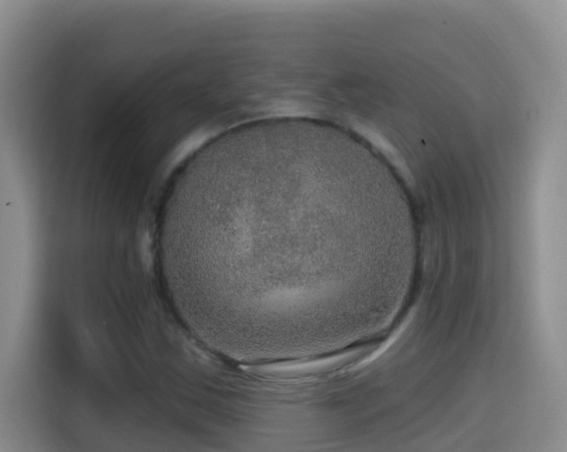 X0000114611163200910201147