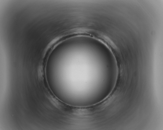 X0000114611164200910201147