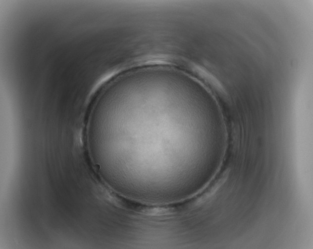 X0000114611166200910201147