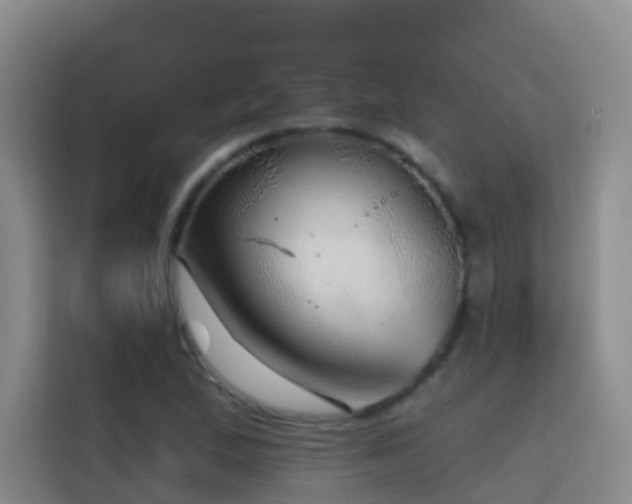 X0000114611167200910201147