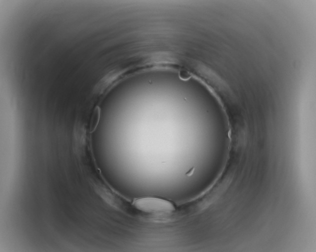 X0000114611169200910201146