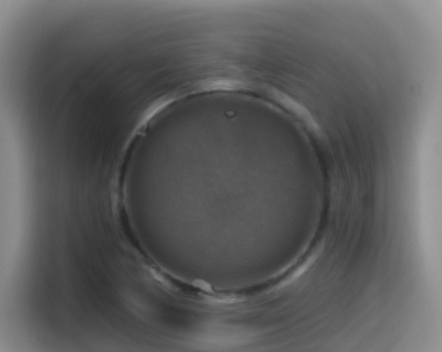 X0000114611170200910201146