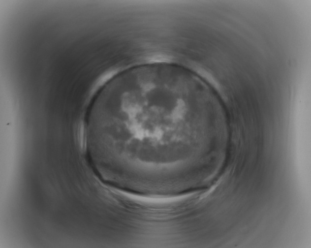 X0000114611171200910201146