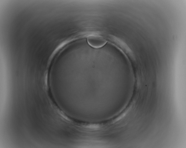 X0000114611174200910201146