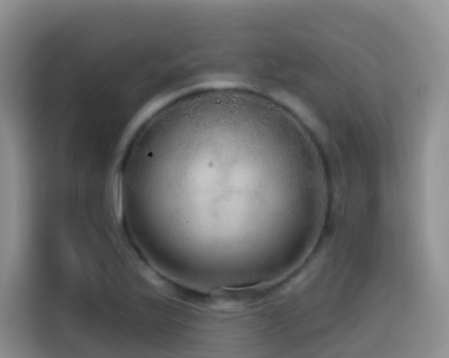 X0000114611175200910201146