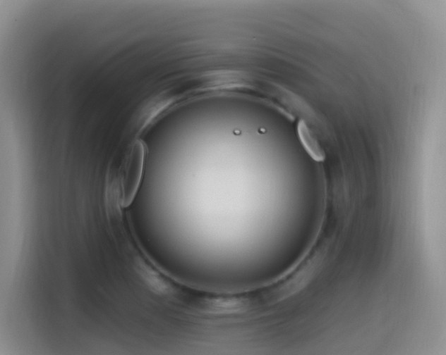 X0000114611177200910201146