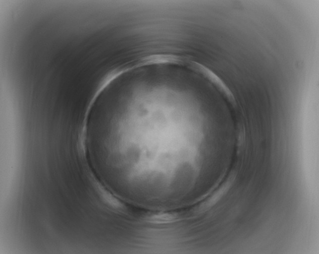 X0000114611178200910201146