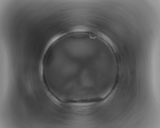 X0000114611179200910201146