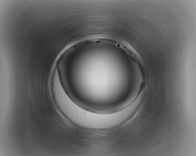 X0000114611181200910201146