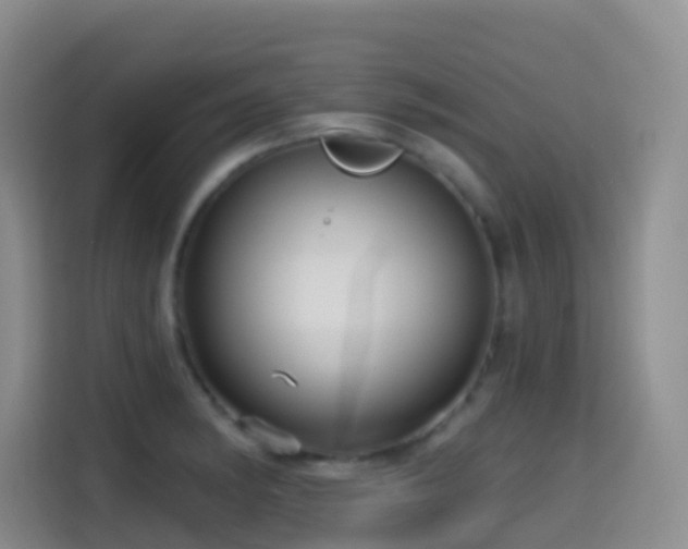 X0000114611182200910201146