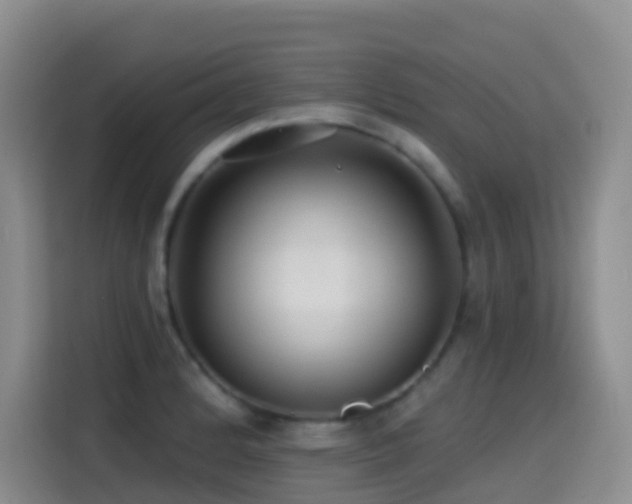 X0000114611184200910201146