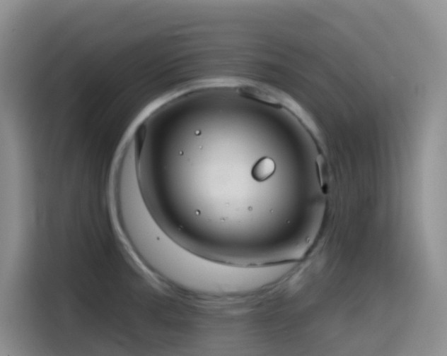 X0000114611187200910201146