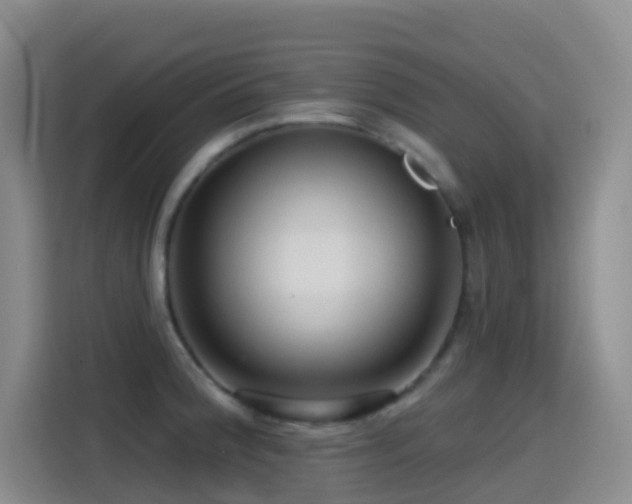 X0000114611188200910201146