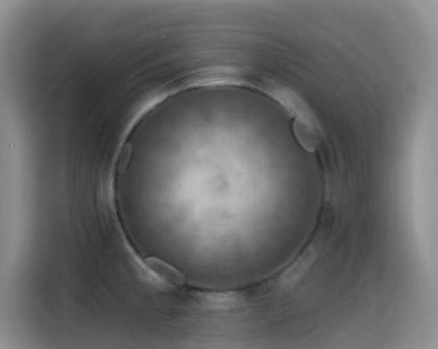 X0000114611189200910201146