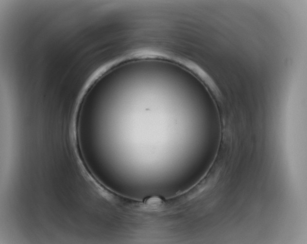 X0000114611191200910201146