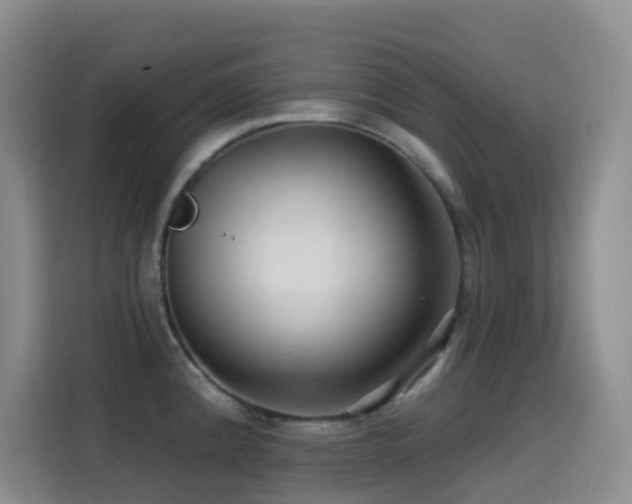 X0000114611192200910201146