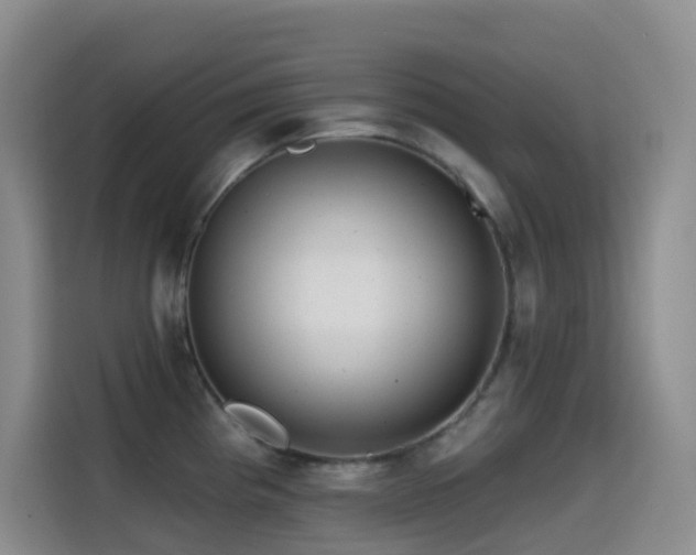 X0000114611193200910201146