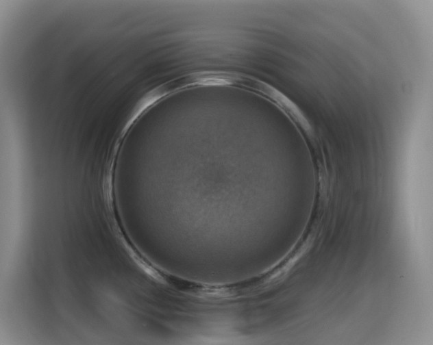 X0000114611194200910201146